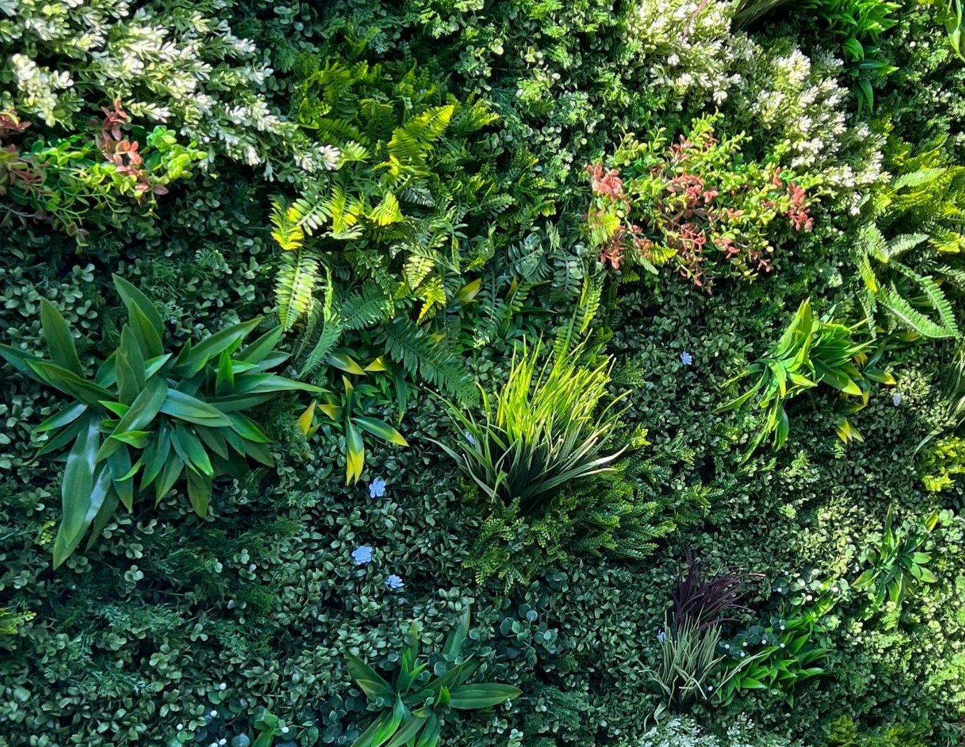 6_ddd09f93-a75d-4f00-be7f-eee7ded99d00